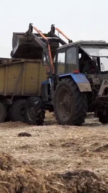 Отзыв о фронтальном погрузчике Frontlift. смотреть онлайн