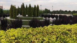 Краснодар.Парк  "Краснодар" или парк Галицкого.Современный ландшафтный дизайн