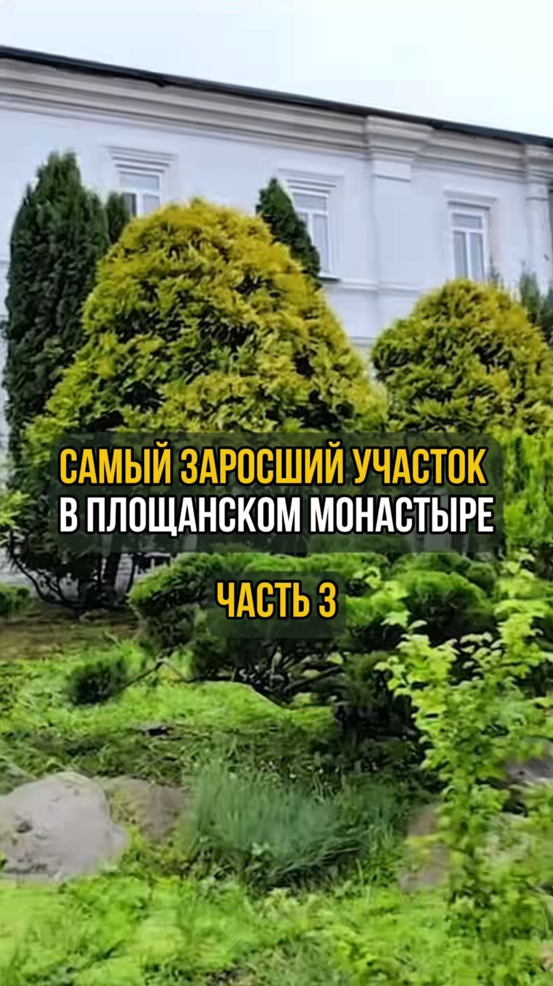 Самый заросший участок в Площанском монастыре. Часть 3 смотреть онлайн