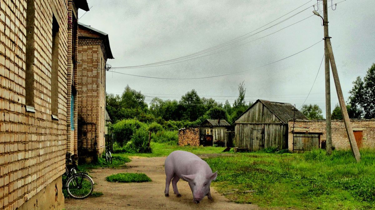 Приехади в деревню Астрилово