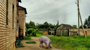 Приехади в деревню Астрилово
