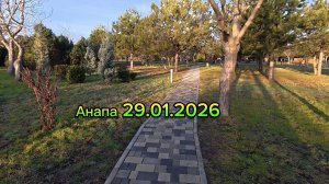 Анапа 29.01.2026