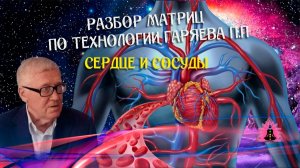 Расшифровка матрицы для сердца и сосудов