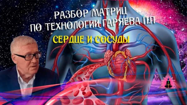 Расшифровка матрицы для сердца и сосудов