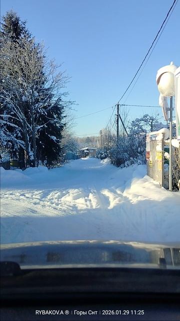 Лен обл Питера - заблудился в СНТ Горы смотреть онлайн