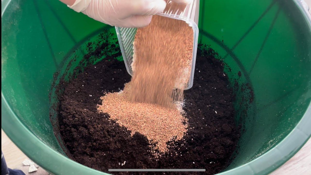 09.02.24 ГРУНТ для РАССАДЫ смотреть онлайн