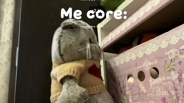 Me core ✨ смотреть онлайн