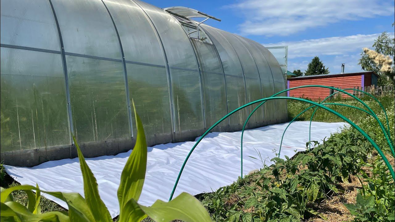 Влог 02.07.22 Теплицу замульчировала, разработка целины :) выходные в деревне! смотреть онлайн