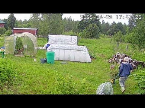 22-23.06.25 холодно, томаты обработала, мульчирую огурцы и кукурузу, первые грибы смотреть онлайн