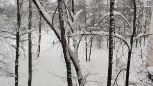 Эй, гражданина! Ты туда не ходи, ты сюда ходи, а то снег в башка попадёт, снега и правда навалом