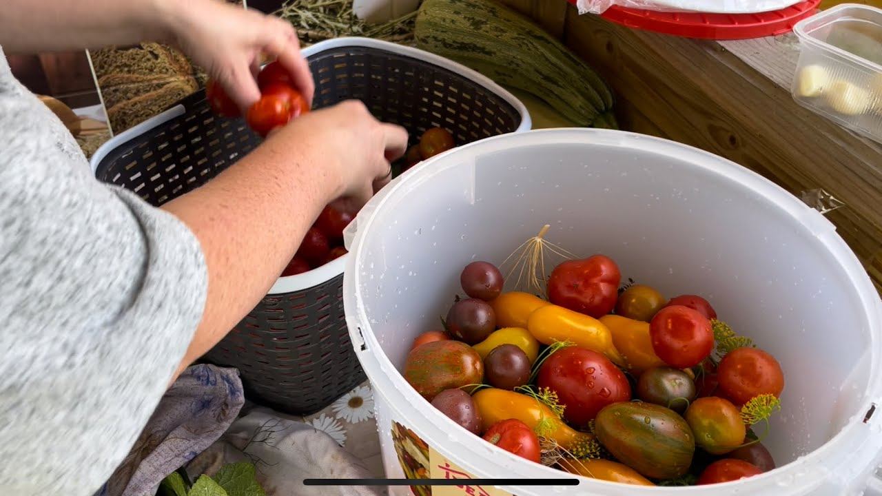 Квасим! БОЧКОВЫЕ помидоры и огурцы! Вкусно, быстро! смотреть онлайн