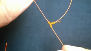 Уникальный способ завязать Т-образный узел для донной ловли