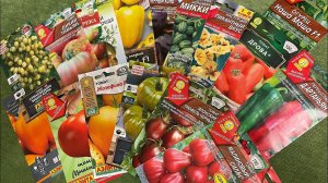 Посылка семян! ТОМАТЫ, Перцы. 1часть на сезон 2023 Аэлита