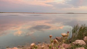 с. Орлянка, Сакский р-н, Крым 2025 г.