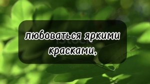 Милое видео 23.06.2025г