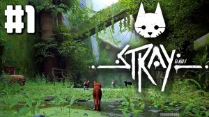 Stray прохождение #1 Мёртвый город