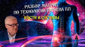 Расшифровка матрицы костей и суставов