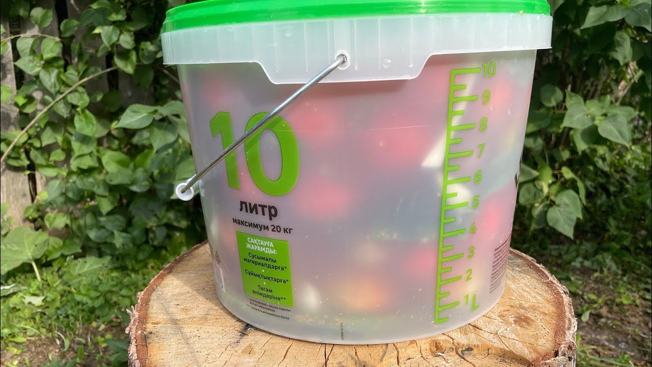 Квашеные ПОМИДОРЫ на родниковой воде! ГАЗИРОВАННЫЕ! смотреть онлайн