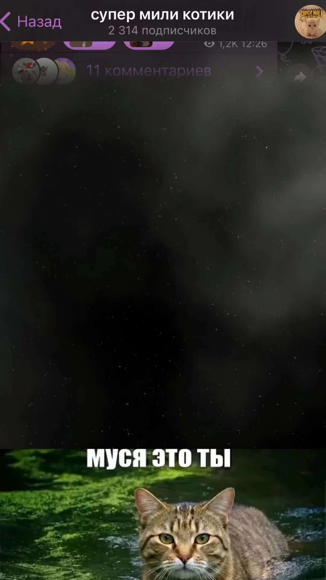 supermilikotiki_496.mp4