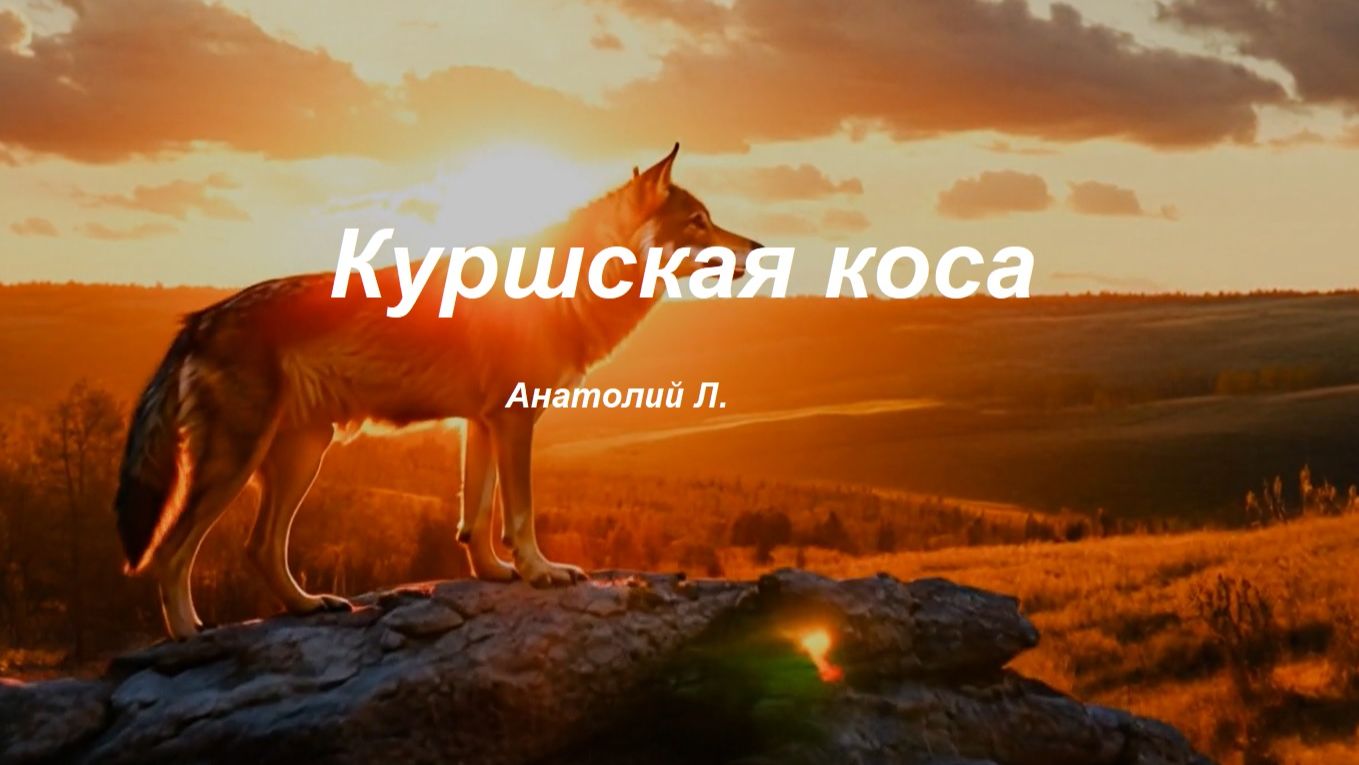 КУРШСКАЯ КОСА смотреть онлайн