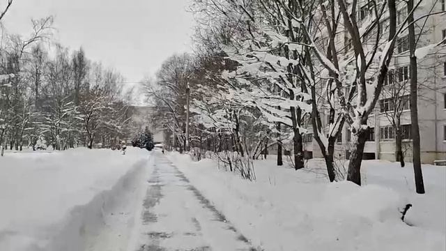 Покажу вам красоту которую увидел первый раз за долгое время хождения мимо неё, зима пошла на убыль смотреть онлайн