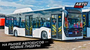 Российские перевозчики купили мало автобусов. ПАЗ-3204 — теперь бестселлер 📺 Новости с колёс №3600