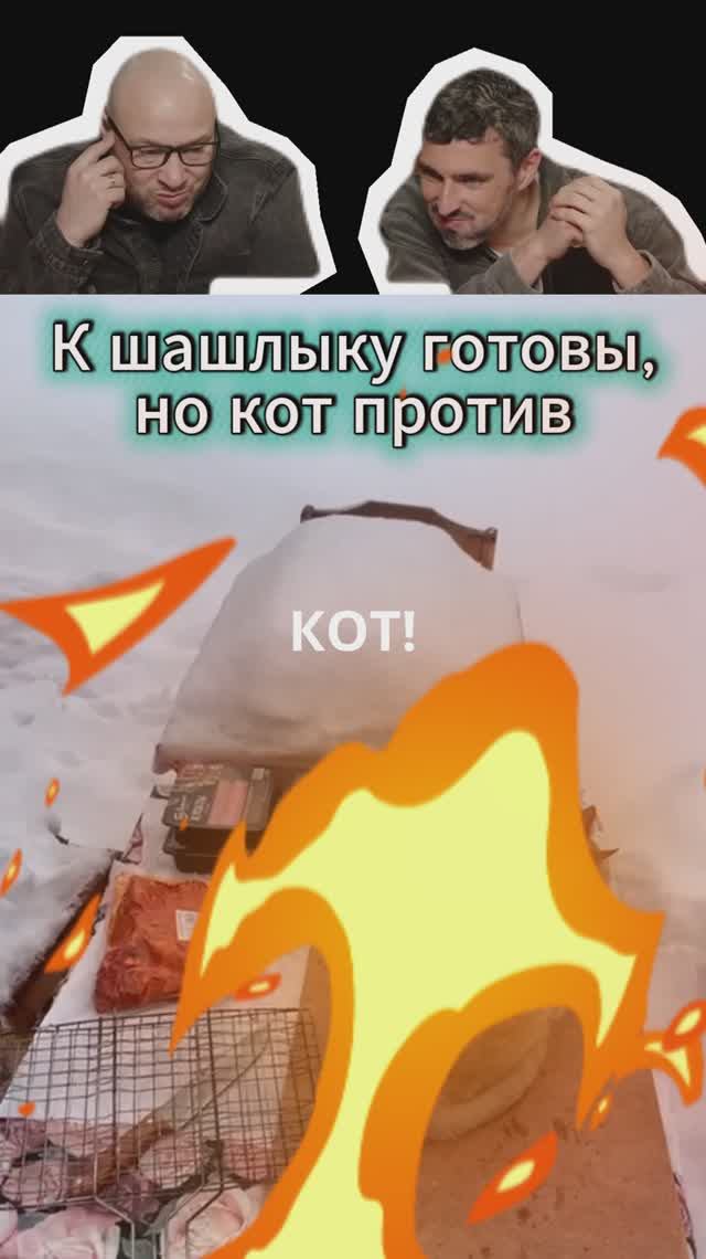 К шашлыку готовы, но кот против