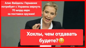 Хохлы, чем отдавать будете?😄 Германия потребует с Украины вернуть 70 млрд евро за поставки оружия