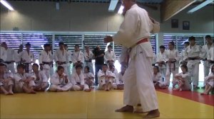 FOUESNANT TAI OTOSHI FORME YANNICK VIAUD