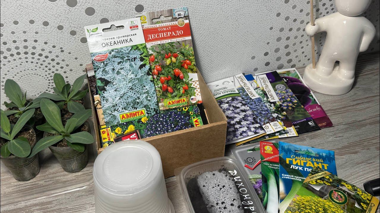 ПЛАН посева на МАРТ 2025 семена с упаковками смотреть онлайн