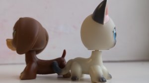 лпс популяр эпизод 3