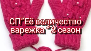 Суп«Её величество варежка сезон 2»/ отчёт январь