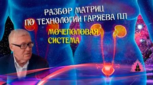 Расшифровка матрицы мочеполовой системы