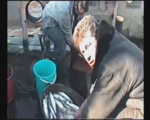 За полярным  кругом  (Тамбей  4).
Обская губа
