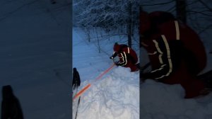 УНИВЕРСАЛЬНЫЙ ПОДЪЕМНИК СНЕГОХОДА 3 в 1. ПОДЪЕМНИК, ДОМКРАТ И ЛЕБЕДКА В ОДНОЙ ВЕЩИ. PBTECH WTR