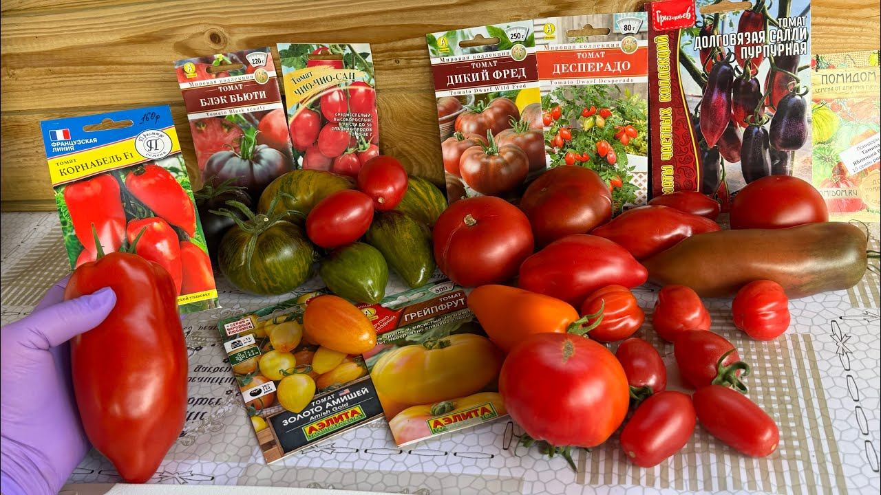 ТОМАТЫ ОБЗОР и ДЕГУСТАЦИЯ! смотреть онлайн