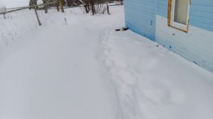 Вылазка в снег.