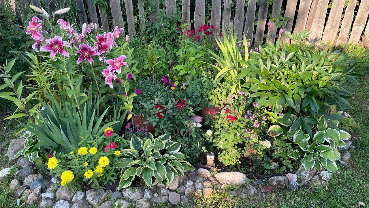 Чем закрыть пустые места на клумбе в августе? смотреть онлайн