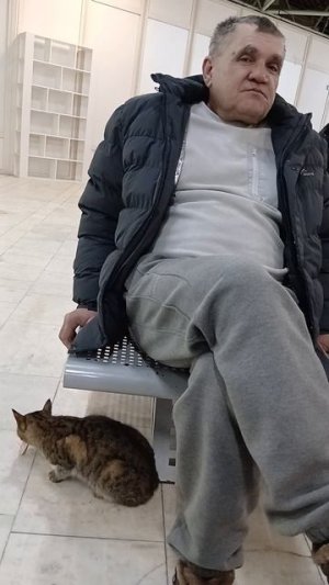 прикормили