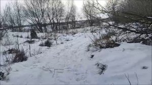 Не рыбалка, прогулка к реке Дон, село Гремячье, Хохольский район, Воронежская область 27.01.2026