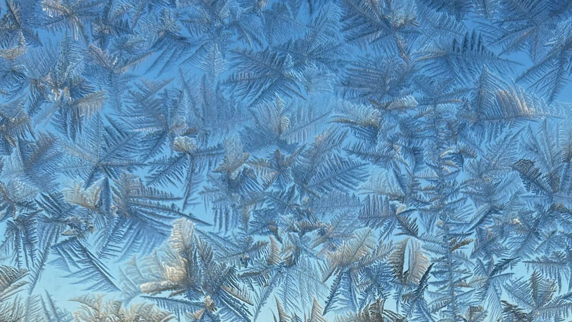 Spencer Brown - Plane Acid смотреть онлайн