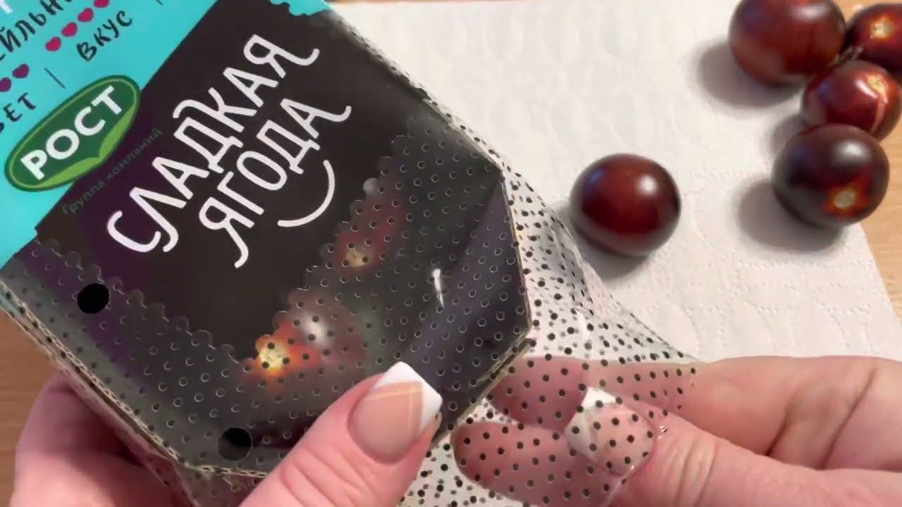 ЧТО ВЫРАСТЕТ?! Помидор из магазина посадила! Эксперимент 2023! смотреть онлайн