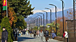 ✅️🌴29 ЯНВАРЯ В АДЛЕРЕ: +13°, КЛАССНАЯ ПОГОДА, САМОЛЕТЫ НАД МОРЕМ, ЛУЧШИЕ МЕСТА. АДЛЕР 2026