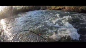 Открытие сезона бейткастинга на воблеры 1.05.2025.