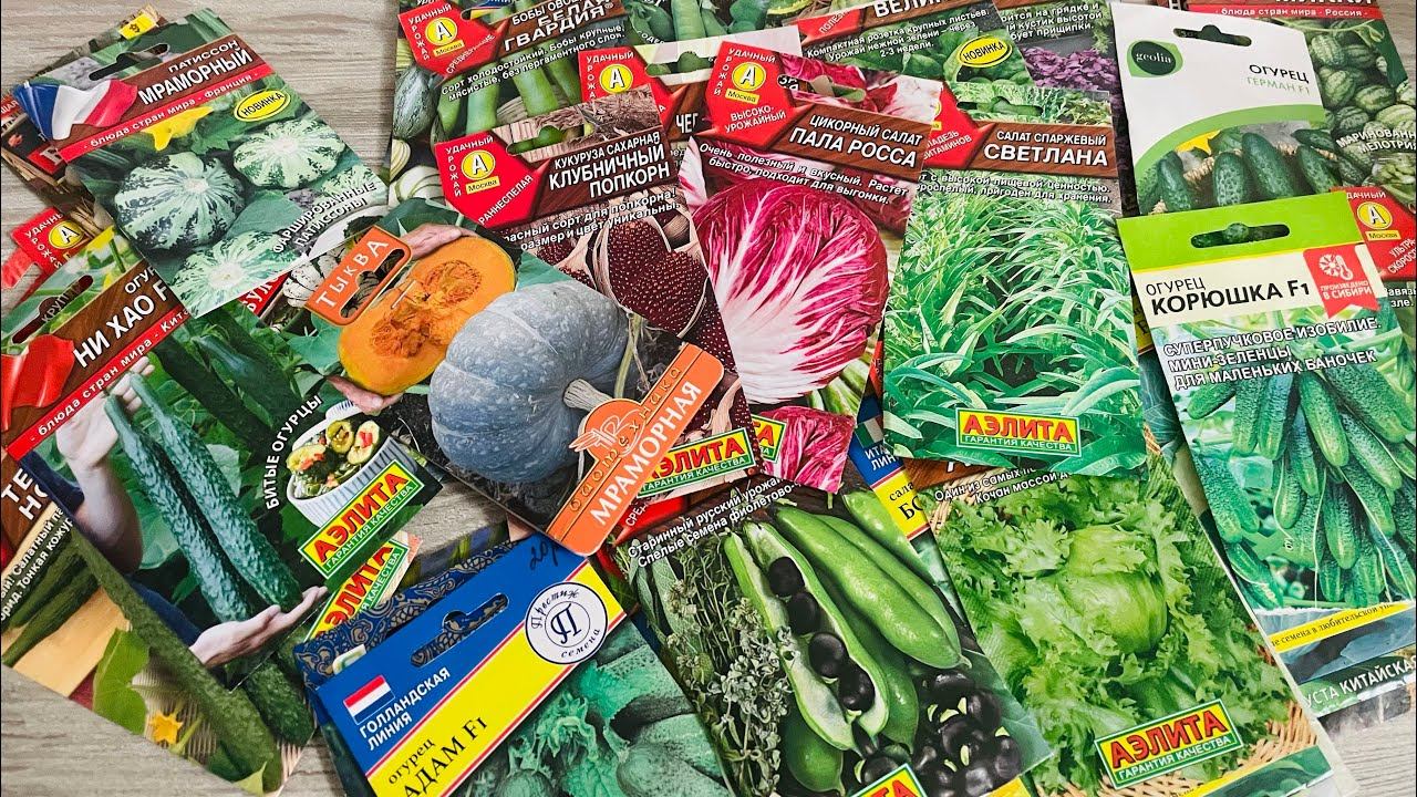 ОВОЩИ. Семена 2024. Новинки и повтор! смотреть онлайн