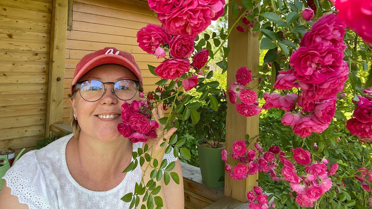 24.07.22 дела садовые- собрала УРОЖАЙ, удобрила томаты, посадила цветы))) смотреть онлайн