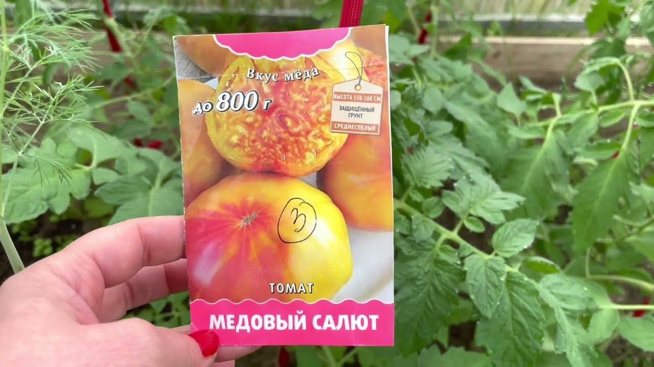 04.06.23 Обзор томатов в теплице с упаковками. Посев 20.03.23 смотреть онлайн