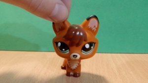 информация о конкурсе LPS популяр