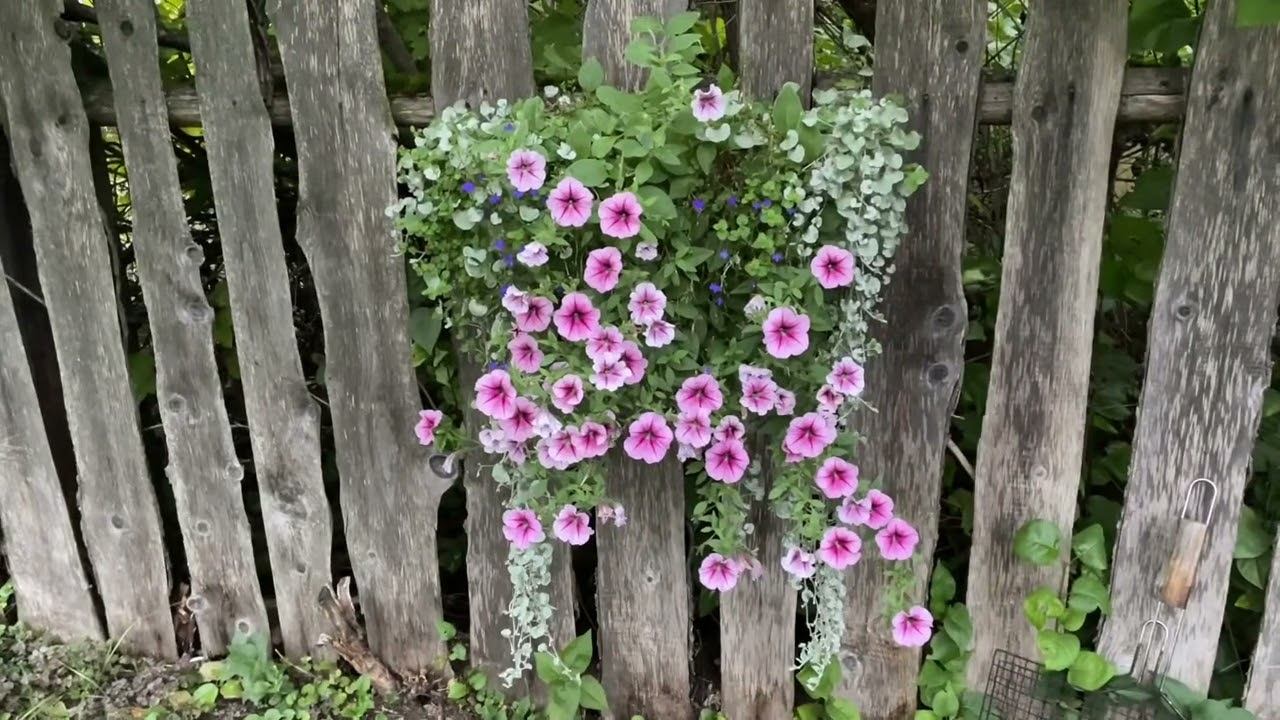 ВЛОГ 23.09.22 давай с тобой уедем! Осеннее настроение смотреть онлайн