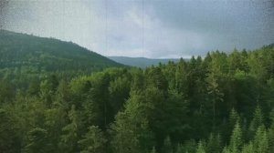 А что бы сделали вы на моем месте?